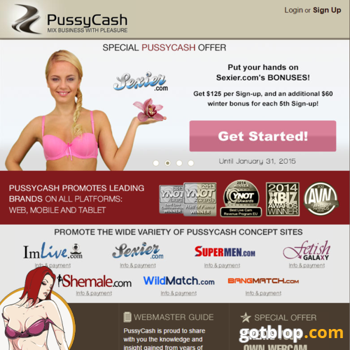 Adult Internet Business Opportunities 61