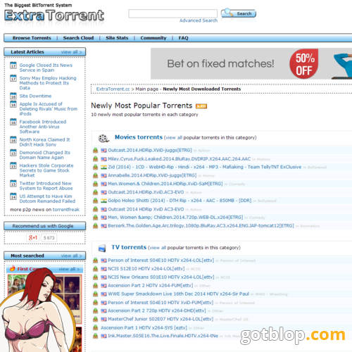 Top Porn Torrents