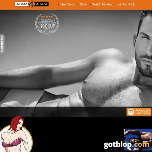 adam4adam gay dating site