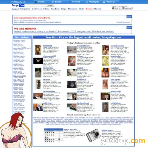 free porn picture galleries