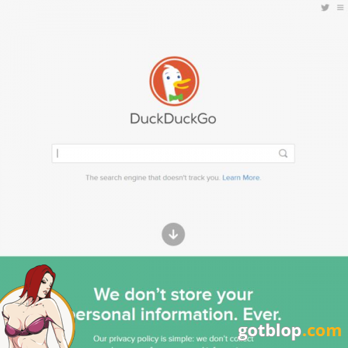 DuckDuckGo - Stay Anonymous with Safe Search Engine picture