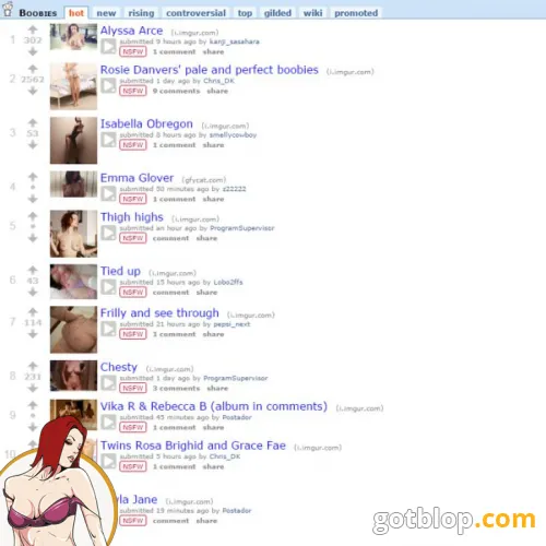 reddit boobies